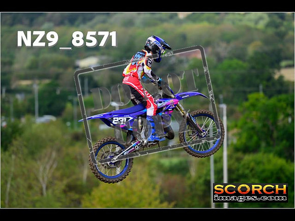 Experts-174
