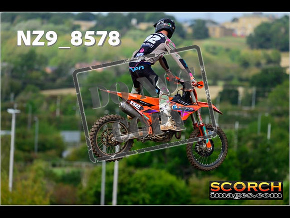 Experts-181