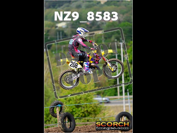 Experts-185