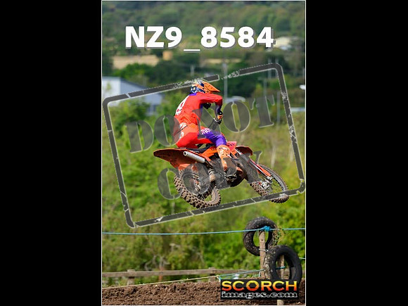 Experts-186