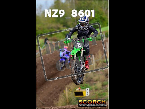 Experts-203