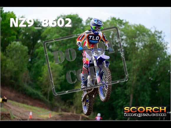 Experts-204