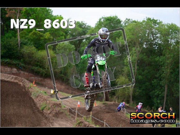 Experts-205