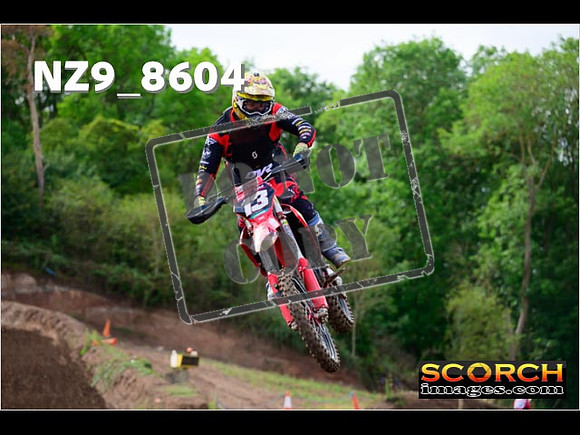 Experts-206