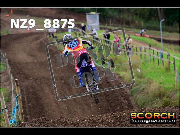 Experts-216