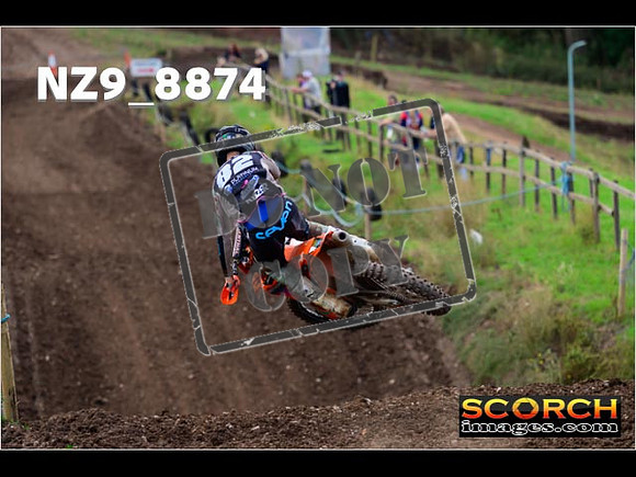 Experts-215