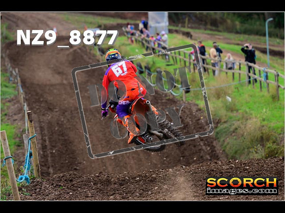 Experts-218