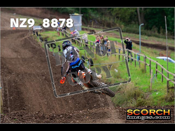 Experts-219