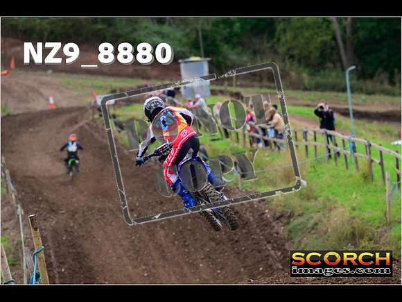 Experts-221