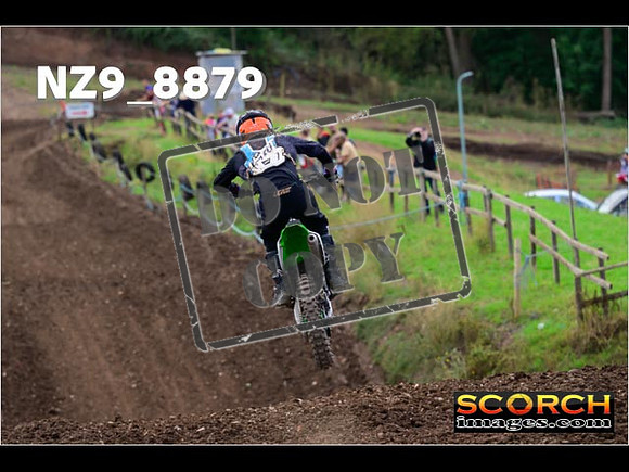 Experts-220