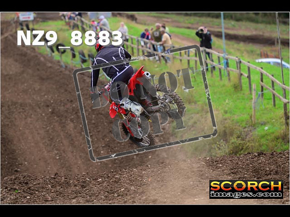 Experts-224