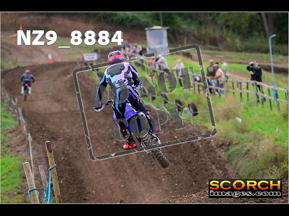Experts-225