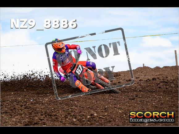 Experts-226