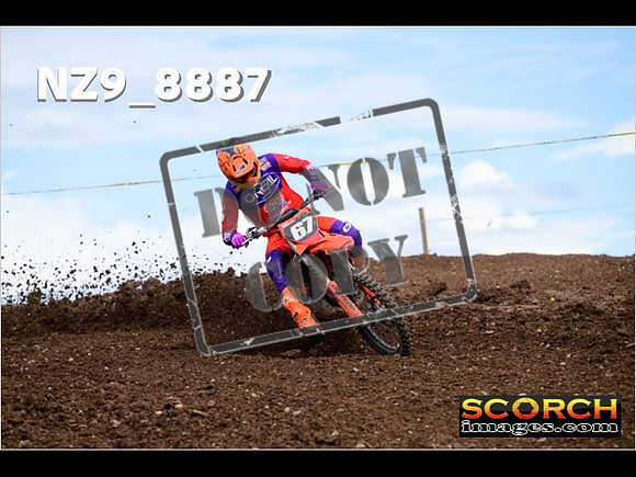 Experts-227