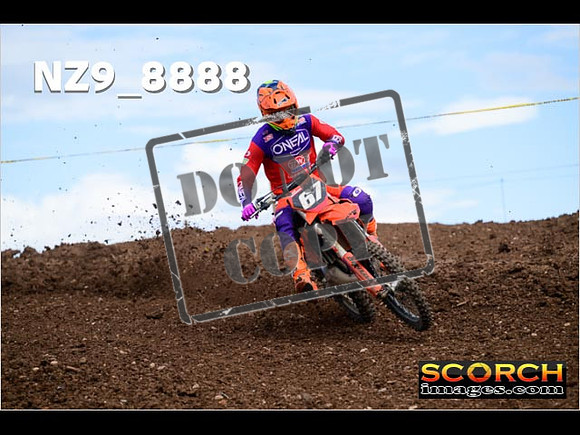 Experts-228