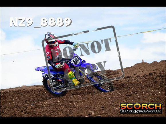 Experts-229