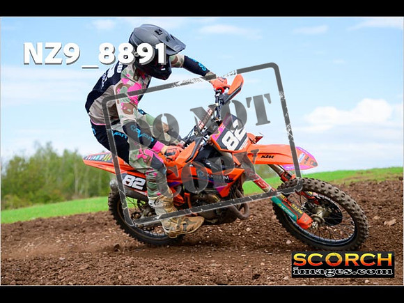 Experts-231