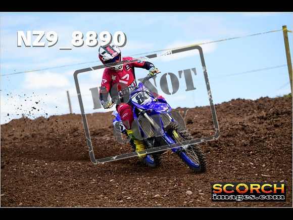 Experts-230