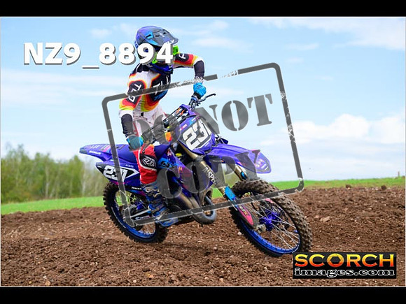 Experts-233