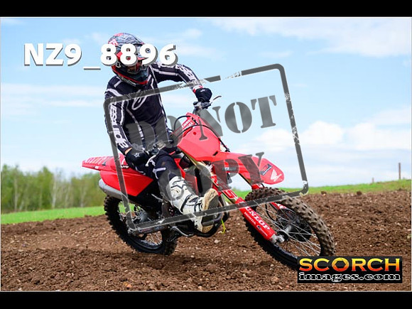 Experts-234