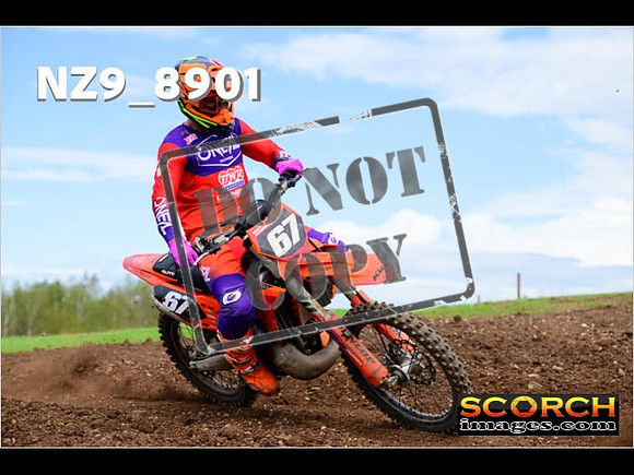 Experts-238