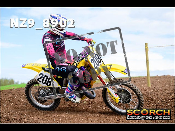 Experts-239