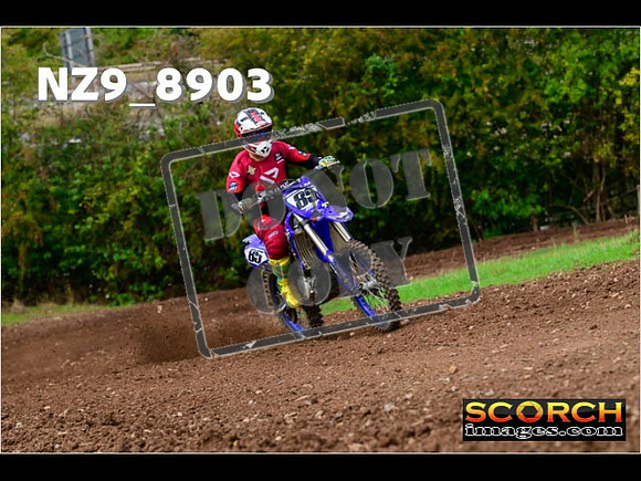 Experts-240