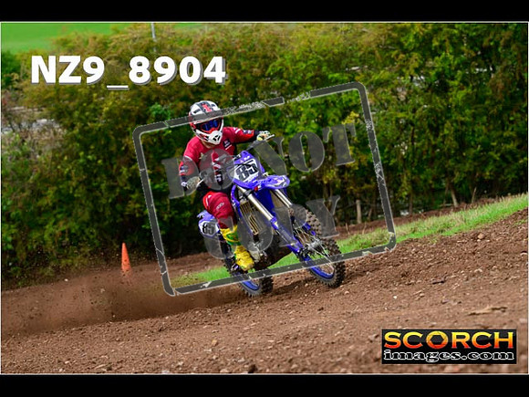 Experts-241
