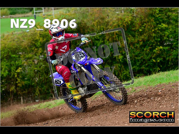 Experts-243