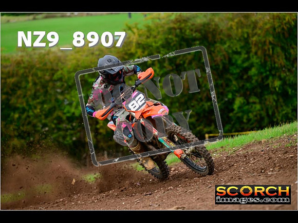 Experts-244