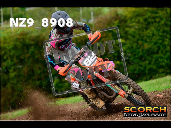 Experts-245