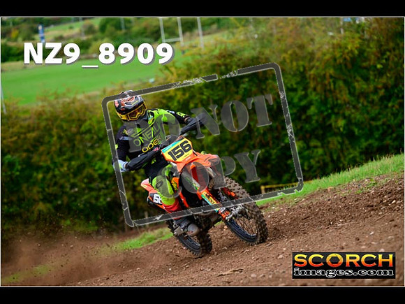 Experts-246