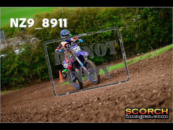 Experts-248