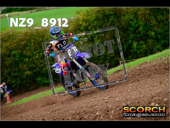 Experts-249