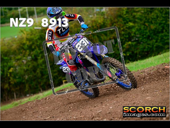 Experts-250
