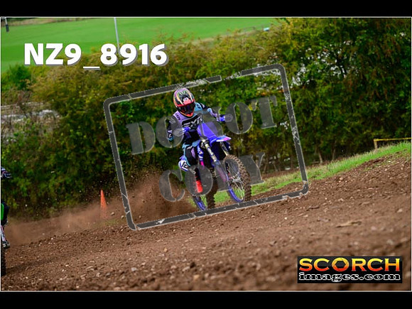 Experts-252