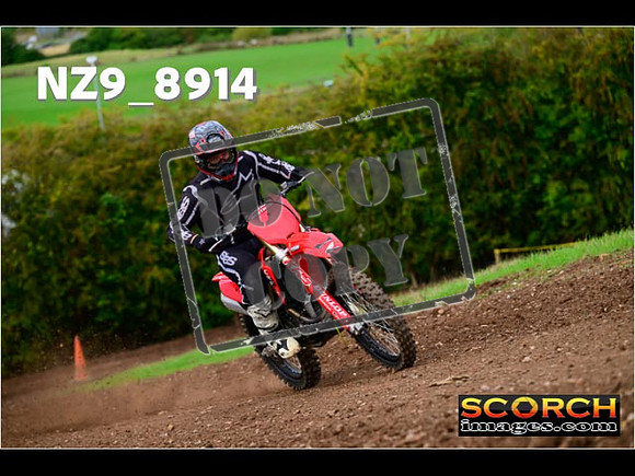 Experts-251