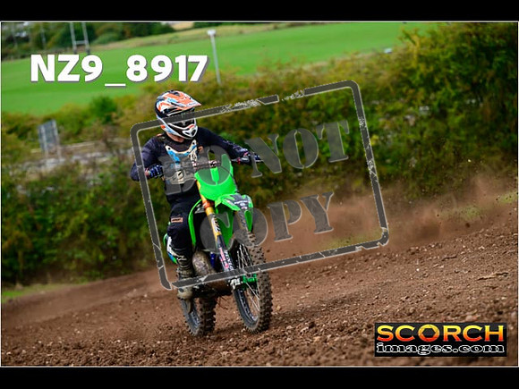 Experts-253