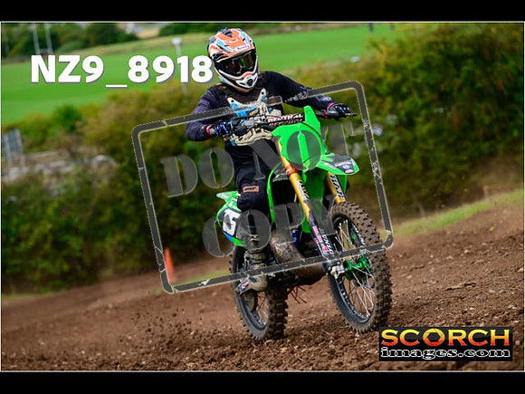 Experts-254