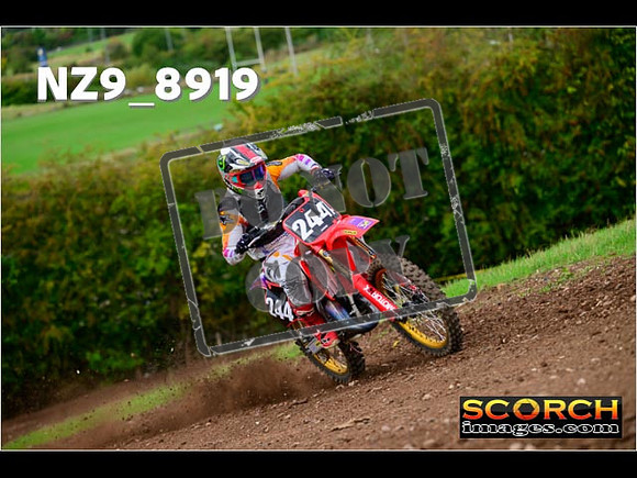 Experts-255