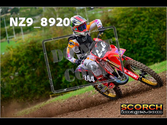Experts-256