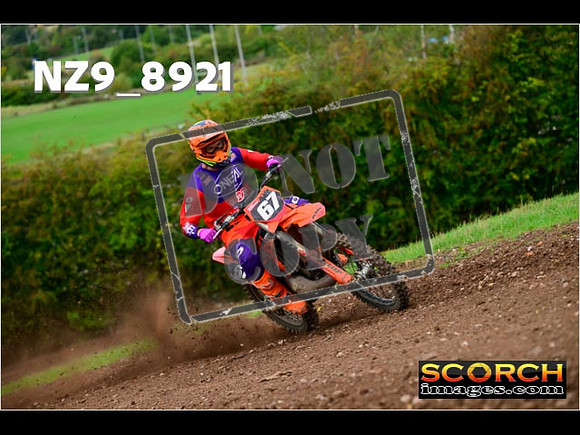 Experts-257