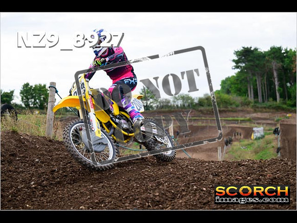 Experts-259