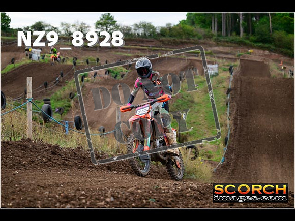 Experts-260