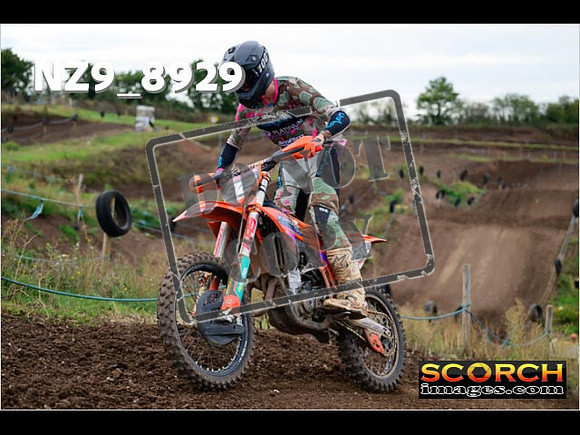 Experts-261