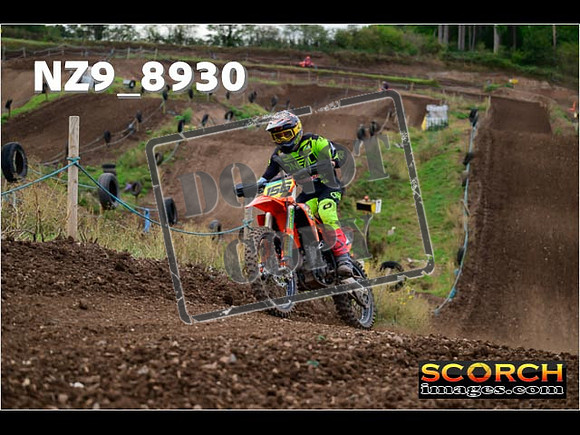 Experts-262