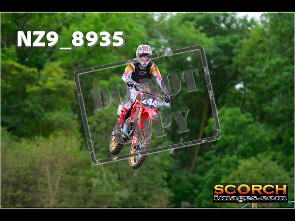 Experts-265
