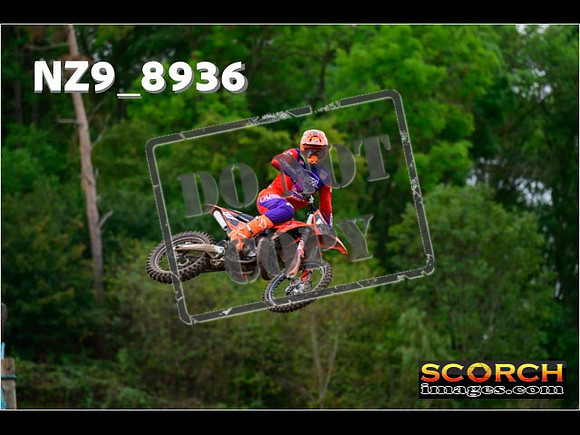 Experts-266