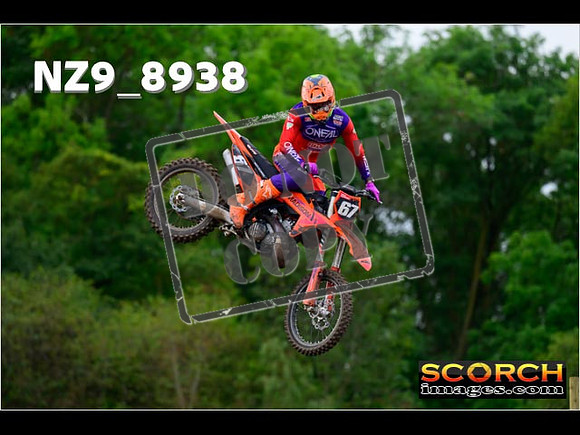 Experts-268