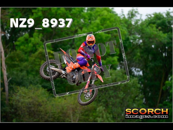 Experts-267